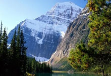 天涯论坛捞金秘籍，教你怎么在社交平台上轻松赚点小钱！